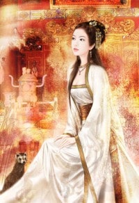 你和我的离婚盛宴