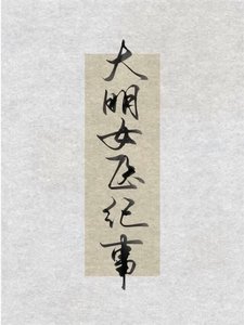 大明女醫紀事