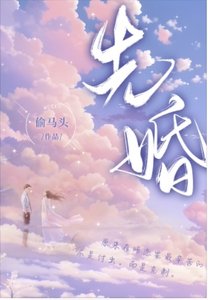 先婚(出书版)